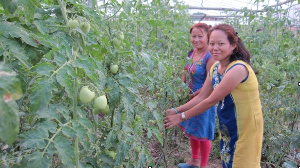 Mrs.Shrestha (right) teaching agro-practices to local women (left)
