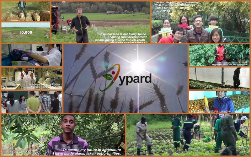 YPARD Official Video